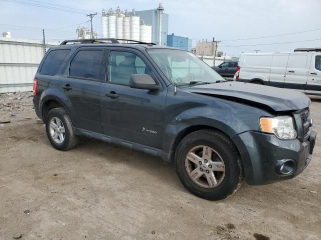 2009 Ford Escape Hybrid