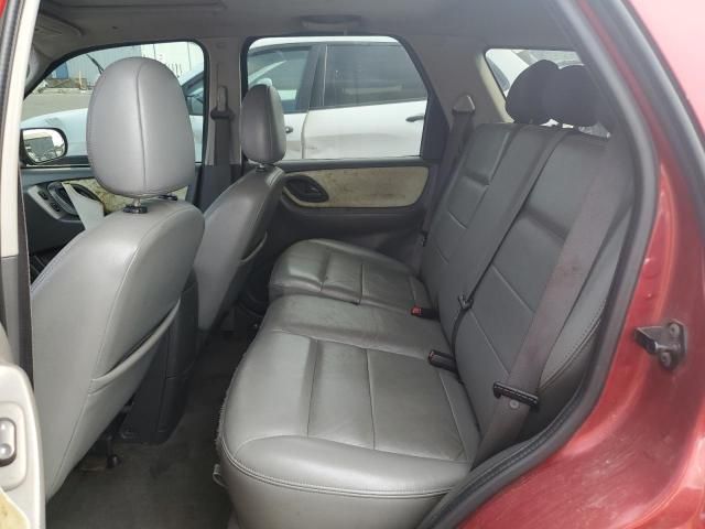 2005 Ford Escape XLT