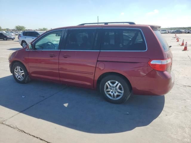 2006 Honda Odyssey EXL