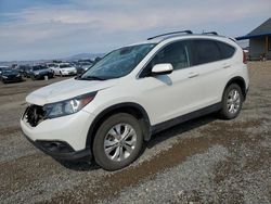 Honda salvage cars for sale: 2014 Honda CR-V EXL