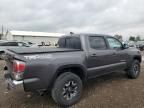 2023 Toyota Tacoma Double Cab