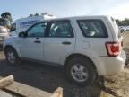 2012 Ford Escape XLS