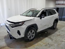 Toyota salvage cars for sale: 2024 Toyota Rav4 XLE