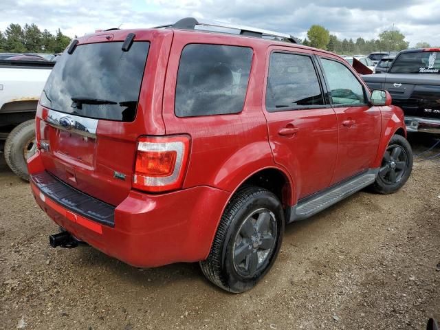 2010 Ford Escape Limited