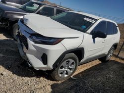 Salvage cars for sale at North Las Vegas, NV auction: 2023 Toyota Rav4 LE