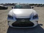 2020 Lexus ES 350