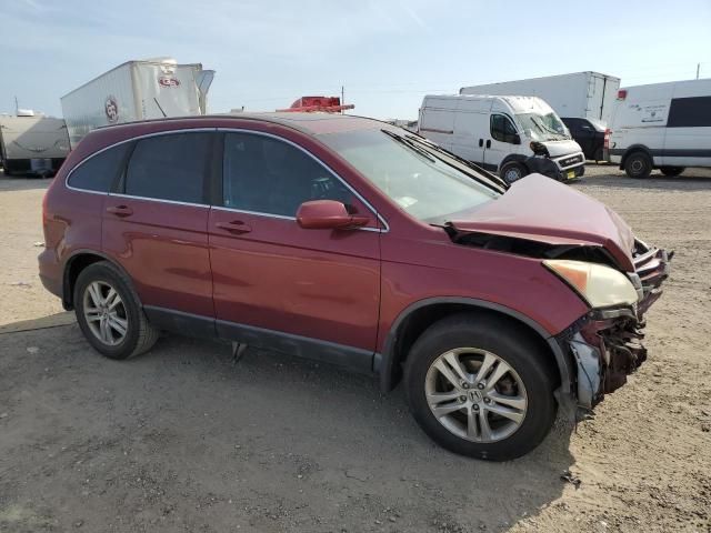 2010 Honda CR-V EXL