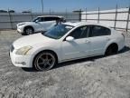 2004 Nissan Maxima SE