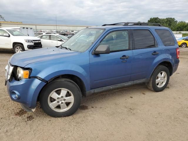 2010 Ford Escape XLT