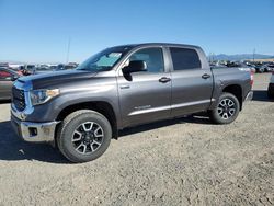 Toyota salvage cars for sale: 2018 Toyota Tundra Crewmax SR5