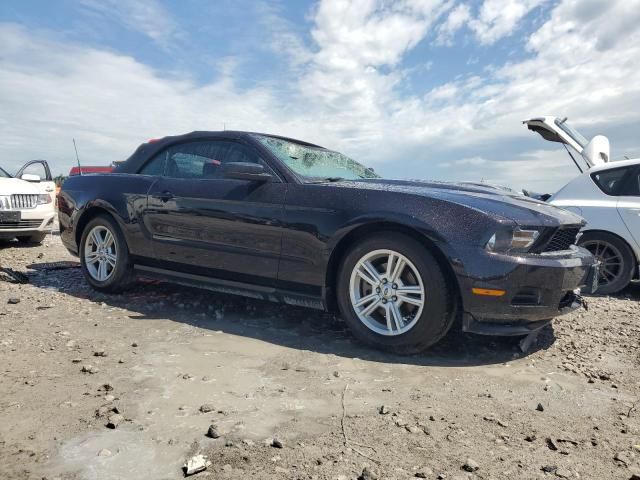 2012 Ford Mustang