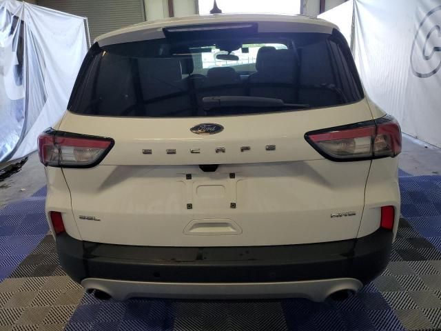 2022 Ford Escape SEL