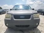 2007 Ford Escape XLT