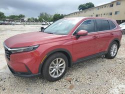 Salvage cars for sale at Opa Locka, FL auction: 2024 Honda CR-V EXL