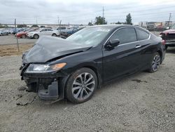 Honda salvage cars for sale: 2013 Honda Accord EXL