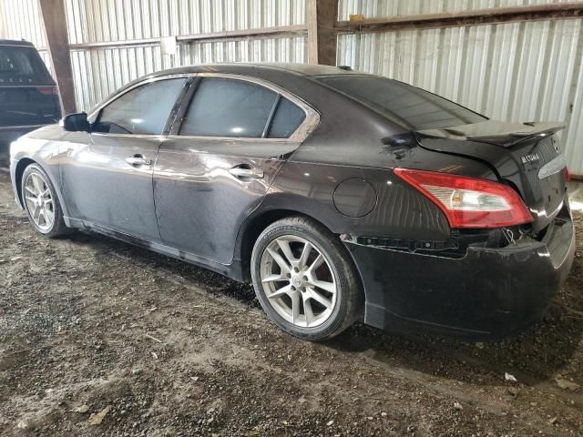 2010 Nissan Maxima S