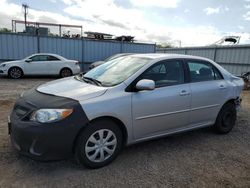 Toyota salvage cars for sale: 2011 Toyota Corolla Base