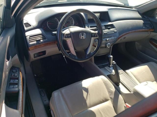 2012 Honda Accord EXL