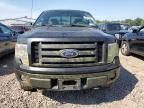 2010 Ford F150