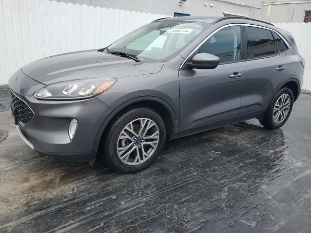 2021 Ford Escape SEL