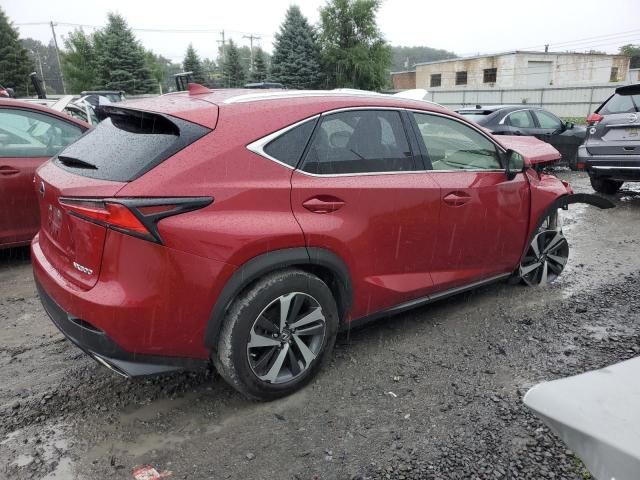 2020 Lexus NX 300