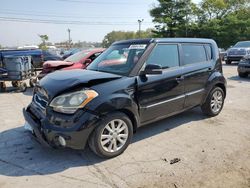 Salvage cars for sale at Lexington, KY auction: 2012 KIA Soul +