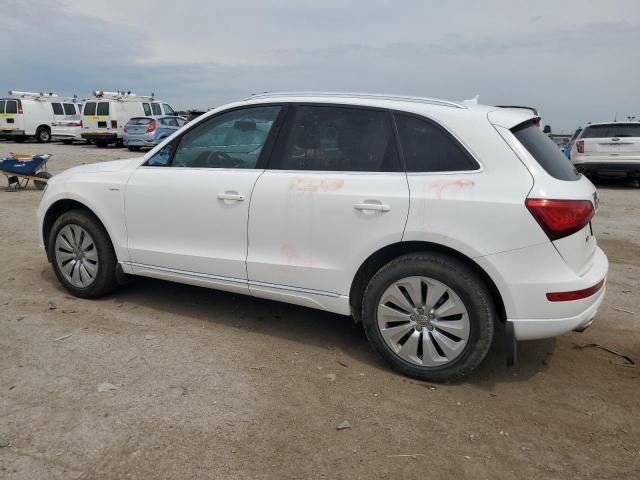 2013 Audi Q5 Premium Hybrid