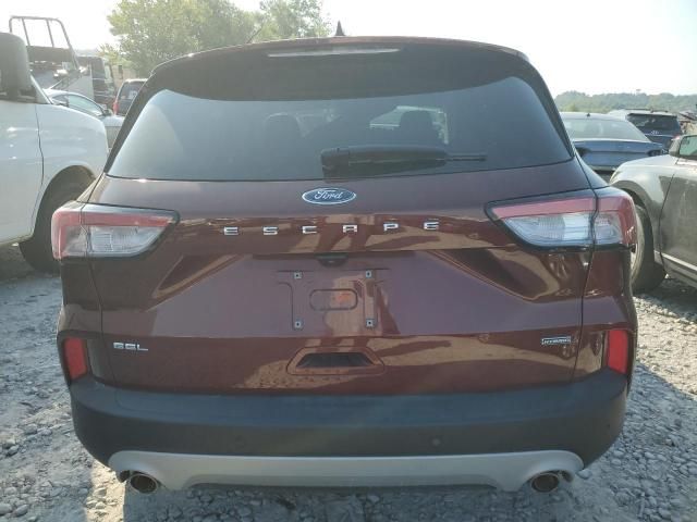 2021 Ford Escape SEL