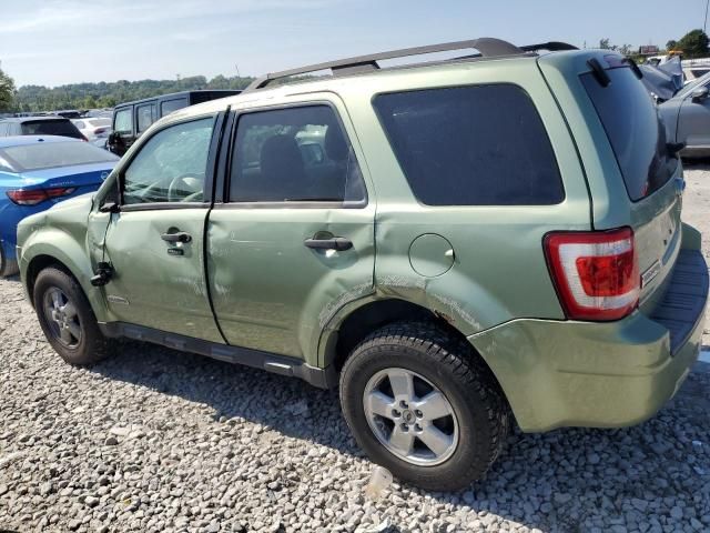 2008 Ford Escape XLT