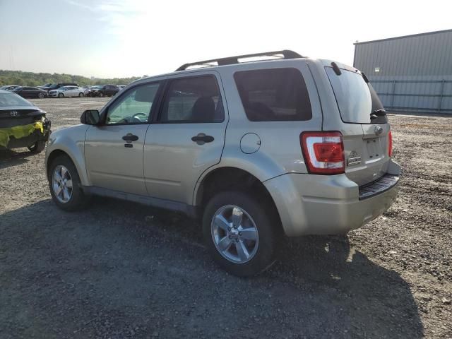 2012 Ford Escape XLT