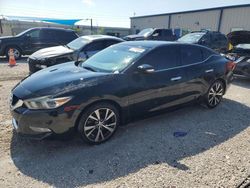 Salvage cars for sale at Arcadia, FL auction: 2017 Nissan Maxima 3.5S