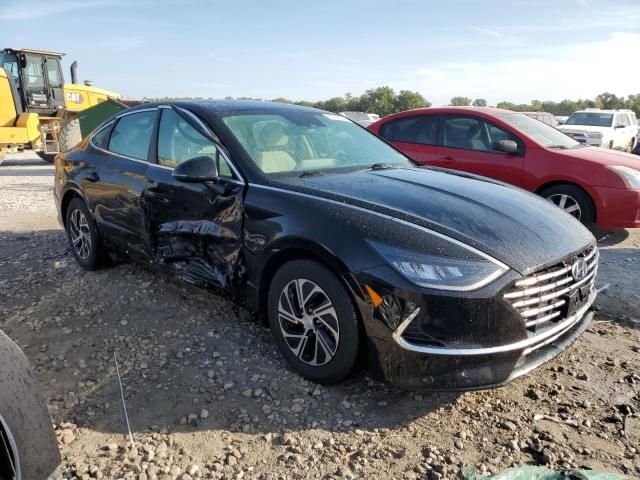 2021 Hyundai Sonata Hybrid