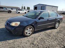 Chevrolet salvage cars for sale: 2006 Chevrolet Malibu LT