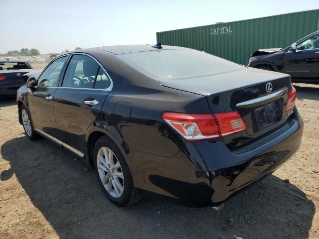 2011 Lexus ES 350