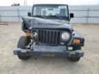 1998 Jeep Wrangler / TJ Sahara