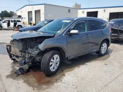 Salvage cars for sale at New Orleans, LA auction: 2013 Honda CR-V EXL