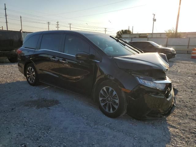 2023 Honda Odyssey EXL