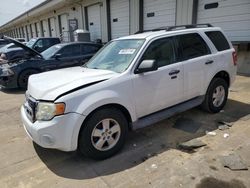 Salvage cars for sale at Louisville, KY auction: 2010 Ford Escape XLT