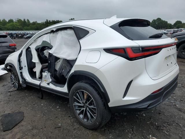 2022 Lexus NX 350