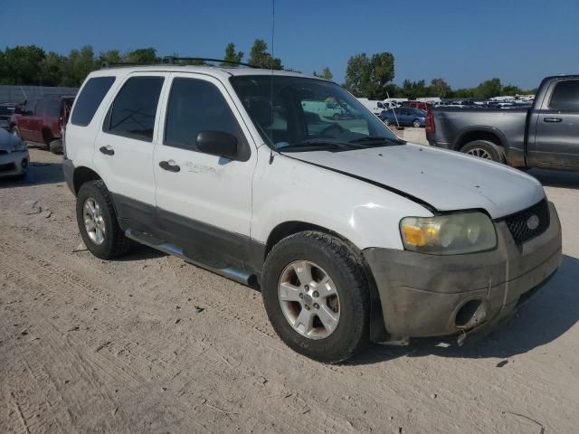 2005 Ford Escape XLT