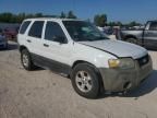 2005 Ford Escape XLT