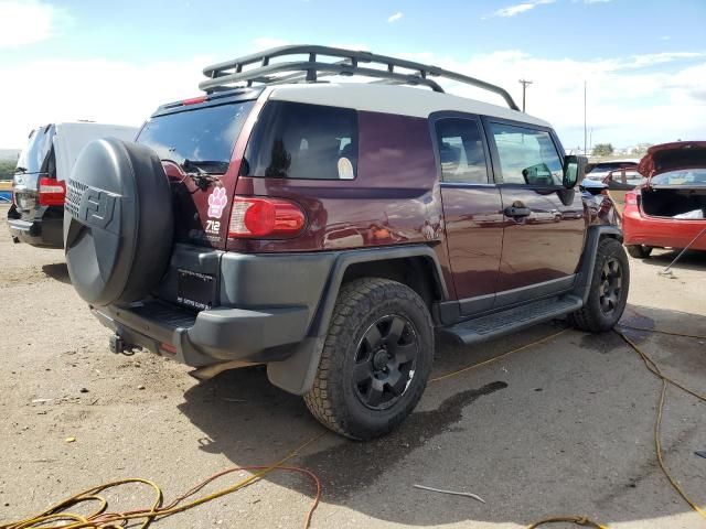 2007 Toyota FJ Cruiser