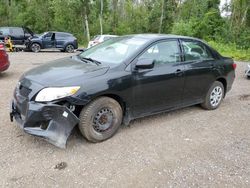 Toyota salvage cars for sale: 2010 Toyota Corolla Base