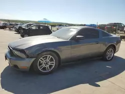 Salvage cars for sale at Grand Prairie, TX auction: 2010 Ford Mustang