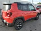 2019 Jeep Renegade Trailhawk