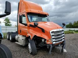 Salvage trucks for sale at Houston, TX auction: 2019 Freightliner Cascadia 116