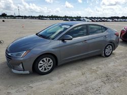 Salvage cars for sale at Arcadia, FL auction: 2019 Hyundai Elantra SE