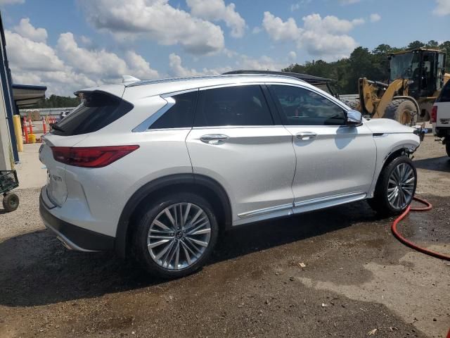 2024 Infiniti QX50 Sensory