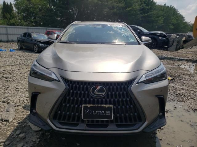 2024 Lexus NX 350 Premium