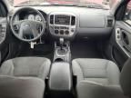 2005 Ford Escape XLT